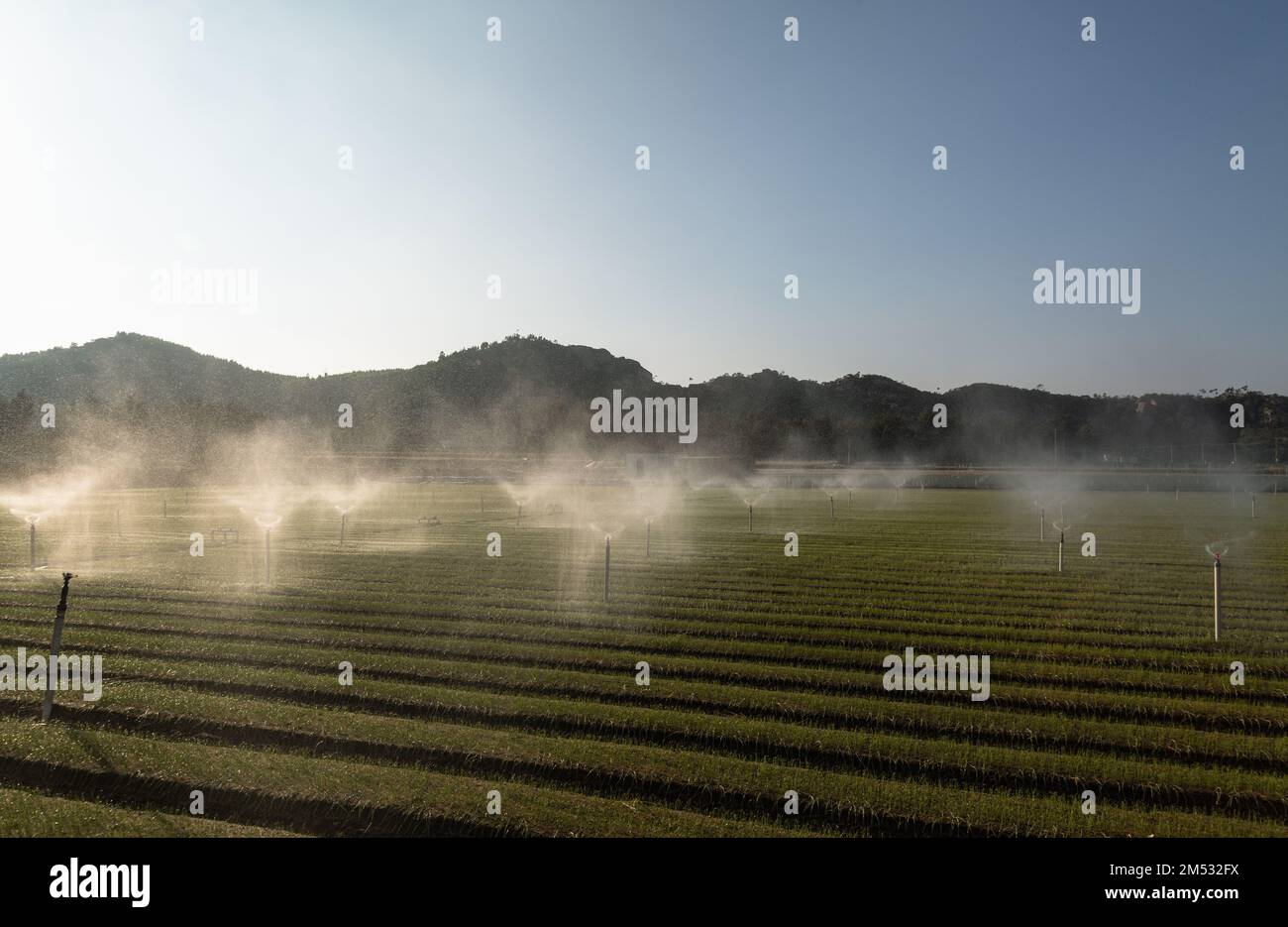 A view of the irrigation system function watering argicultural fields Stock Photo