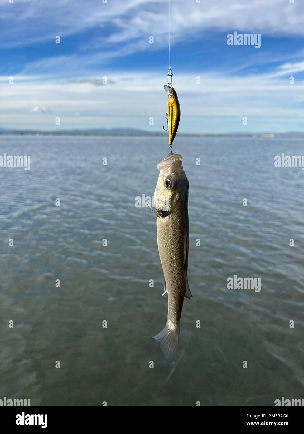 A big fish catching small one hanging from a fish hook Stock Photo