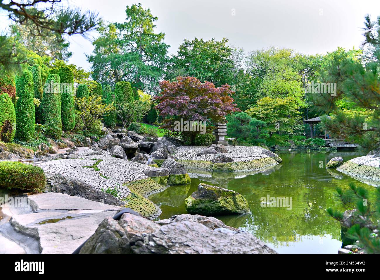 Gorgeous sakura in a beautiful tourist place in a Japanese garden Stock ...