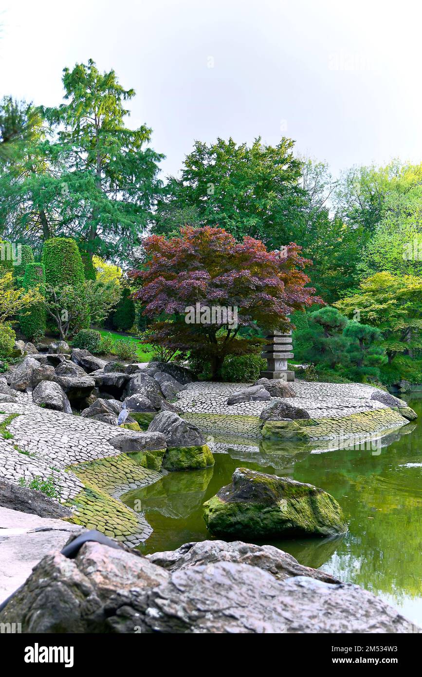 Gorgeous sakura in a beautiful tourist place in a Japanese garden Stock ...