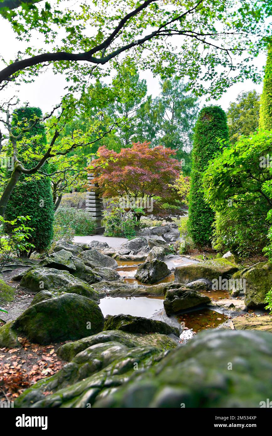 Gorgeous sakura in a beautiful tourist place in a Japanese garden Stock ...