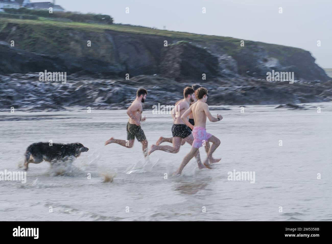 Polzeath, Cornwall, UK. 25th December 2022. UK Weather. Hundreds of people took to the sea at Polzeath this morning for the annual Christmas day swim. Credit Simon Maycock / Alamy Live News. Stock Photo