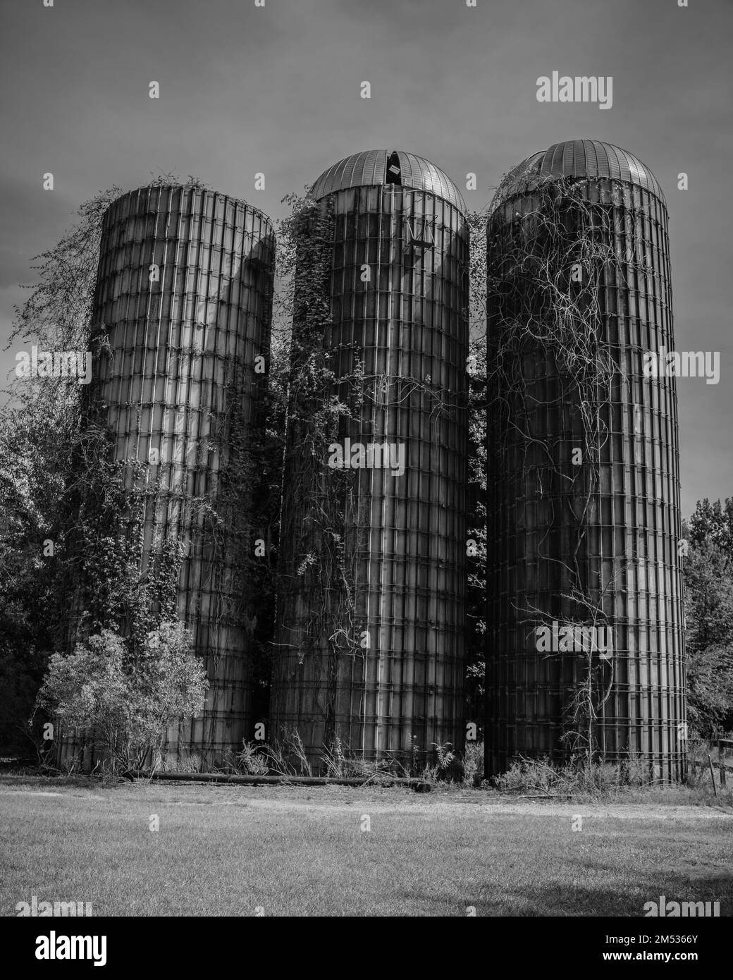 Structure towers vertical Black and White Stock Photos & Images - Alamy