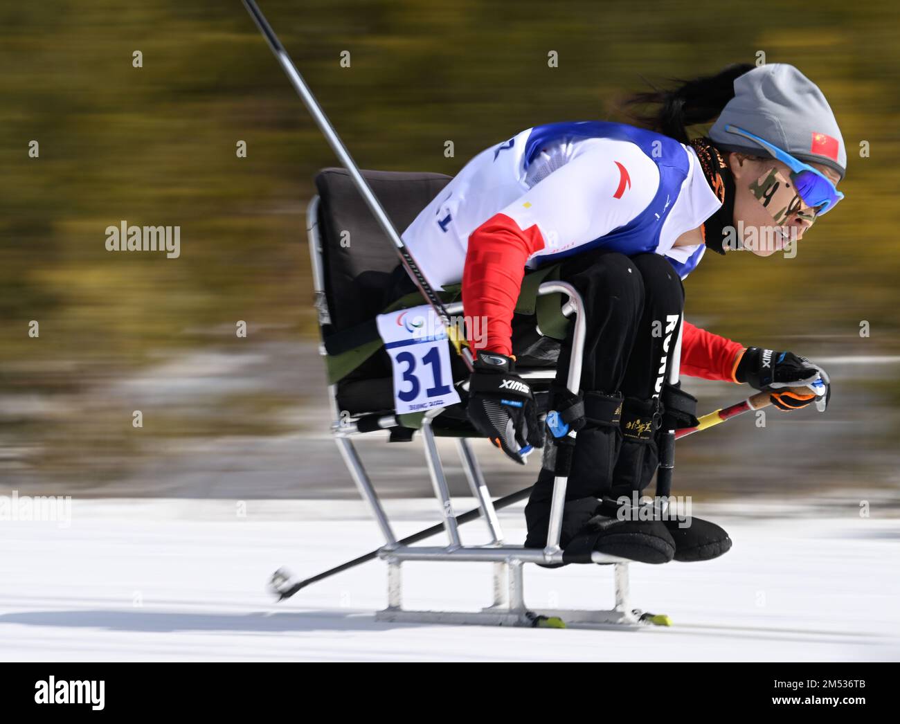 (221225) -- BEIJING, Dec. 25, 2022 (Xinhua) -- File photo taken on March 6, 2022 shows Yang Hongqiong of China competes during during the Para Cross-Country Skiing Women's Long Distance Sitting of Beijing 2022 Winter Paralympics at National Biathlon Center in Zhangjiakou, north China's Hebei Province. Yang won three gold medals in the sprint, middle, and long distance sitting at the Beijing 2022 Paralympic Winter Games. The 33-year-old Paralympic debutant became the most decorated Chinese Para-Olympian and was named the flag bearer of the Chinese delegation at the closing ceremony of the Beiji Stock Photo
