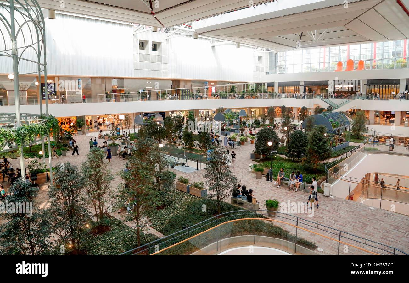 Largest Department Store In Seoul