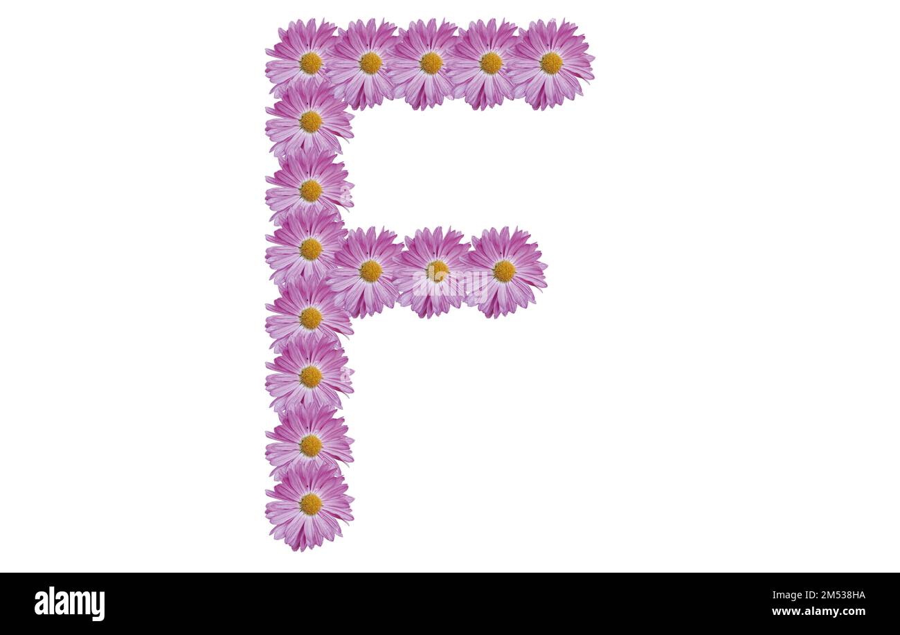Letter F made with pink flower isolated on white background. Spring