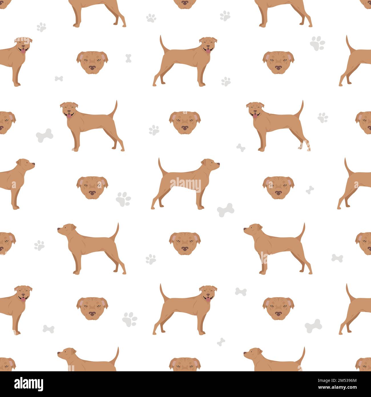 American staffordshire terrier seamless pattern. Vector illustration Stock Vector
