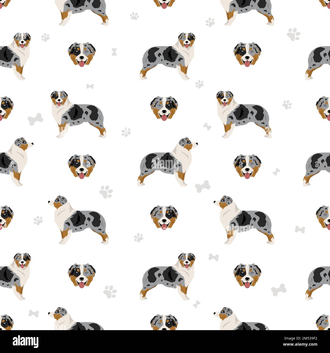 Australian shepherd seamless pattern. Background Aussie set.  Vector illustration Stock Vector