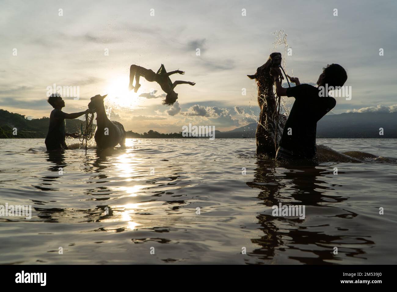 At sunset, three silhouettes of people cleaning racehorses on a beach in Lariti Beach, Bima district, West Nusa Tenggara. Bathing horses in sea water Stock Photo
