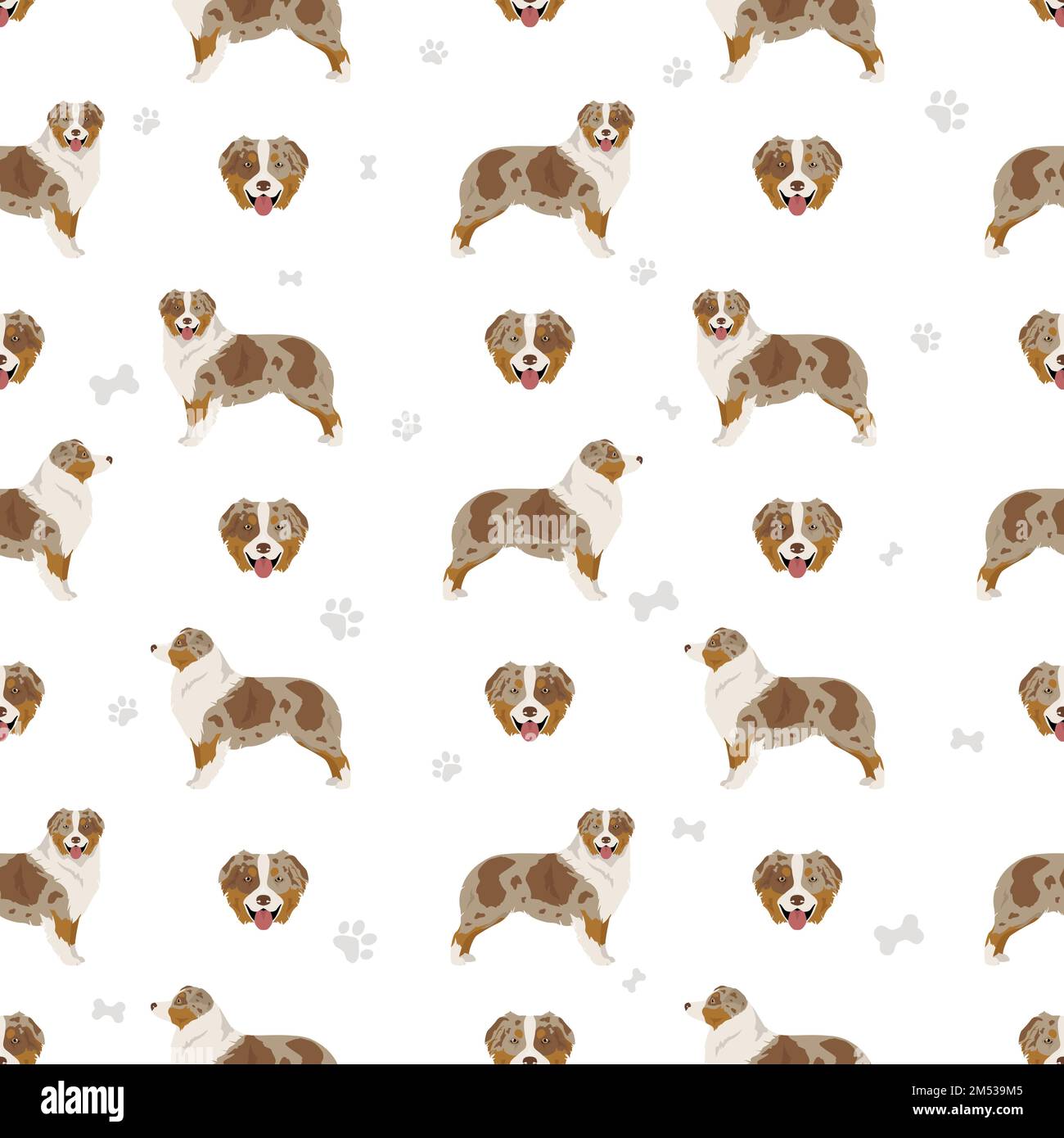 Australian shepherd seamless pattern. Background Aussie set.  Vector illustration Stock Vector
