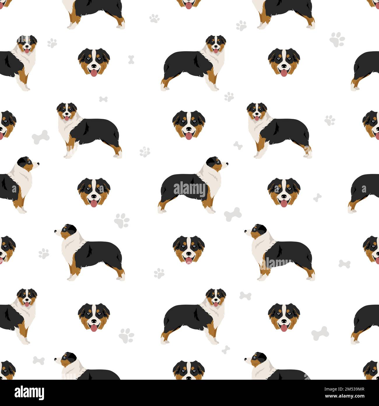 Australian shepherd seamless pattern. Background Aussie set.  Vector illustration Stock Vector