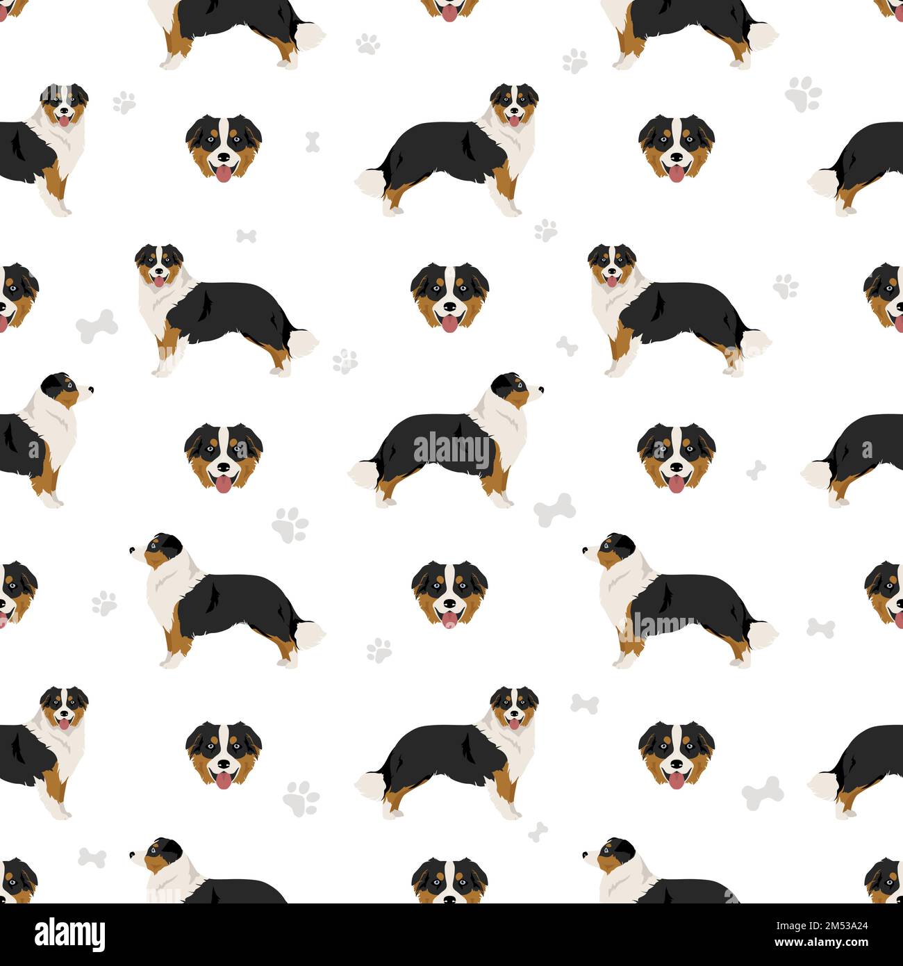 Australian shepherd seamless pattern. Background Aussie set.  Vector illustration Stock Vector