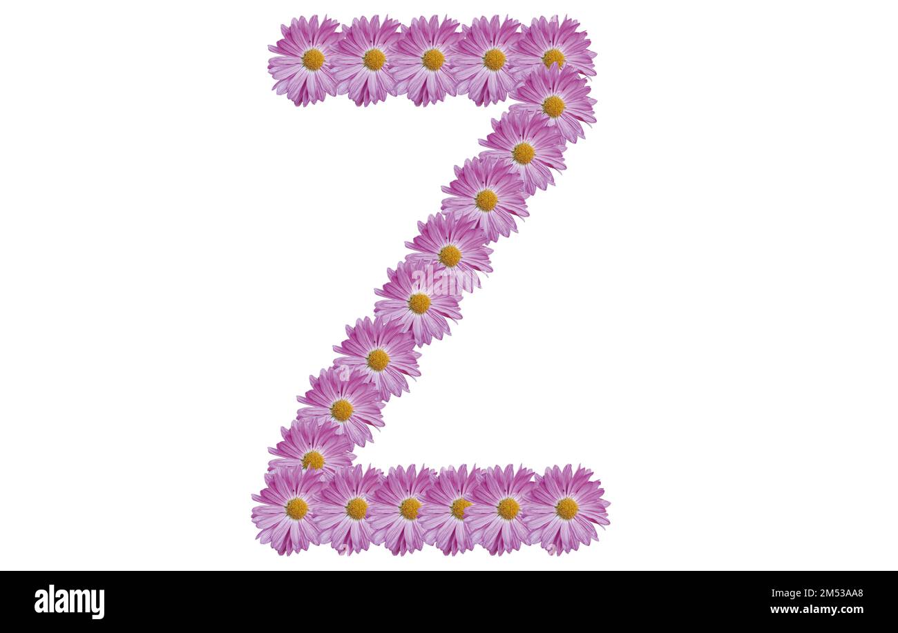 Letter Z made with pink flower isolated on white background. Spring concept idea. Stock Photo