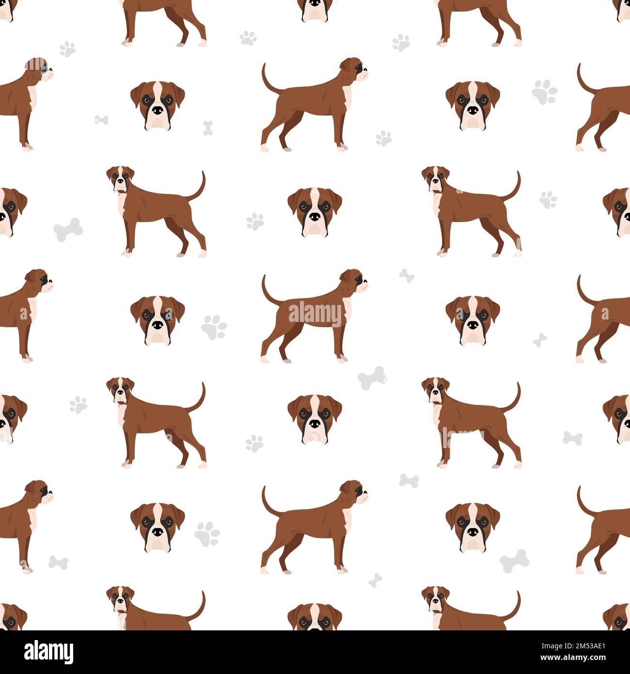 Boxer dog seamless pattern. Vector illustration Stock Vector Image