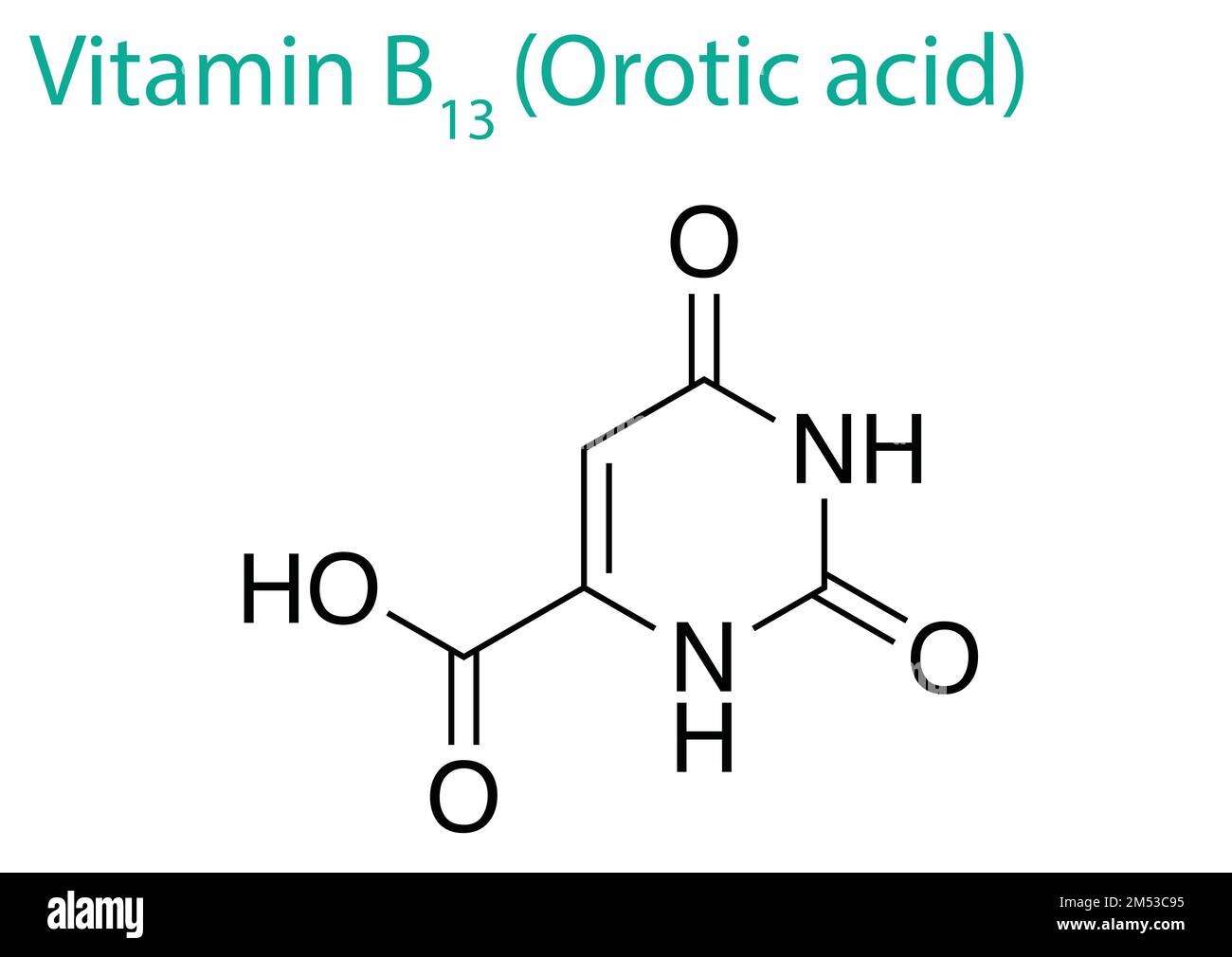 An illustration of a Vitamin B13 molecule isolated on a white