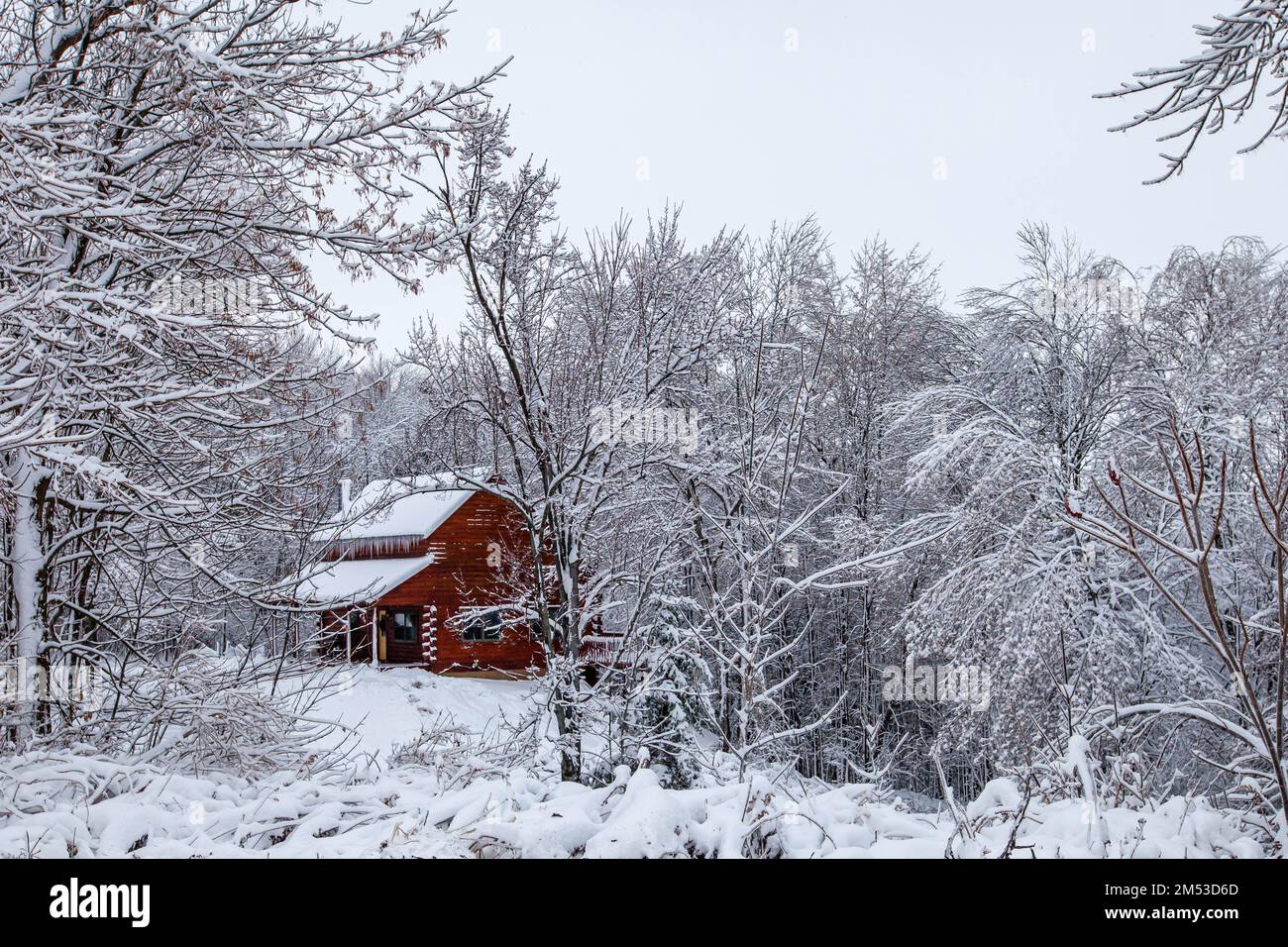 Log cabin after a December snow storm in Wisconsin, horizontal Stock Photo