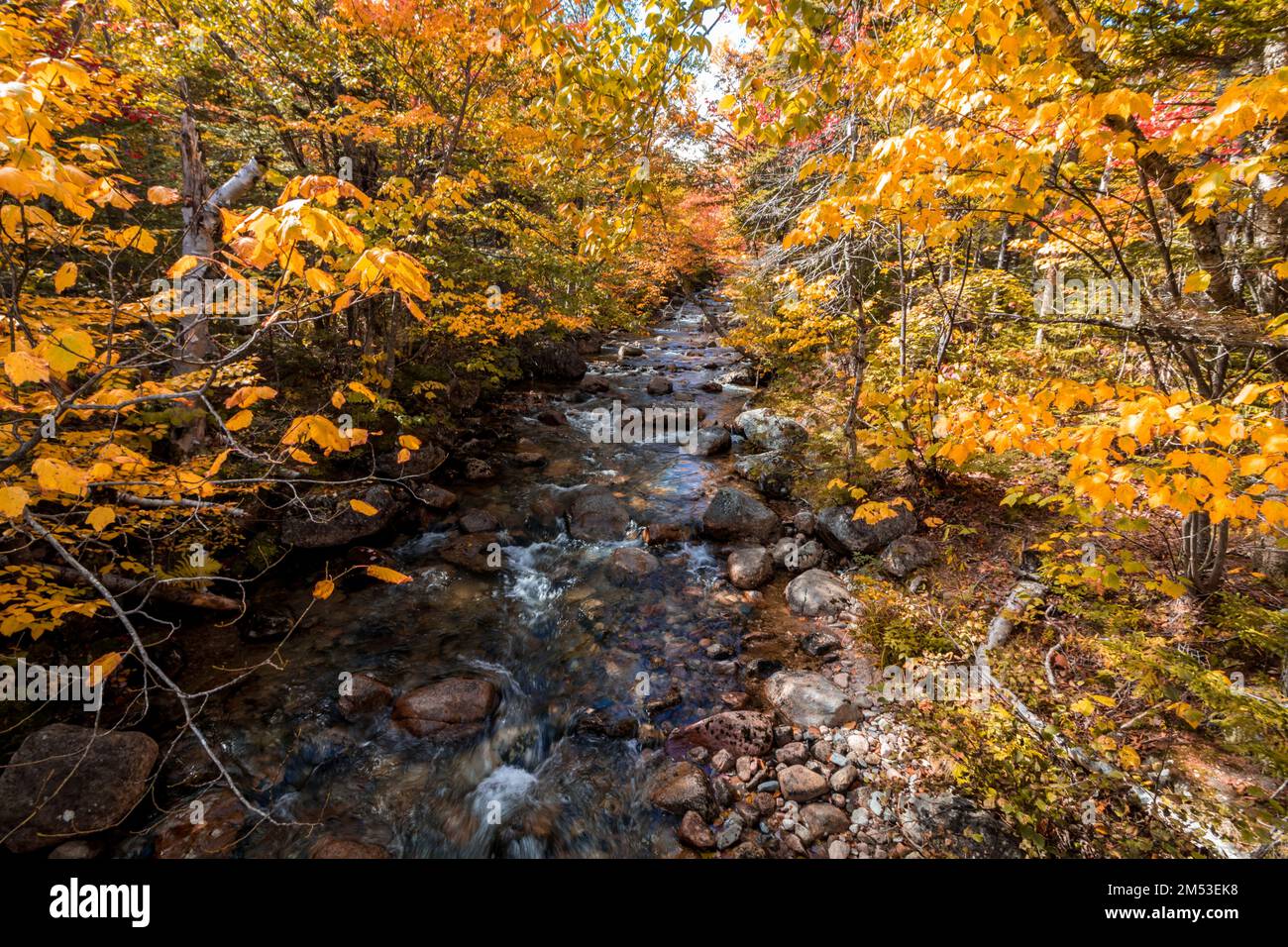 A scenic view from Chimney Pond Trail looking at a river in the Baxter ...