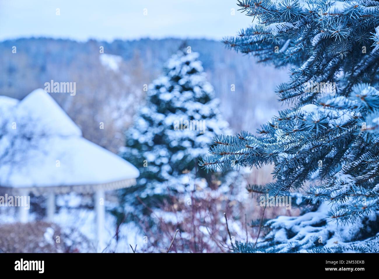 A snow-covered forest park in winter with a wooden gazebo on the ...