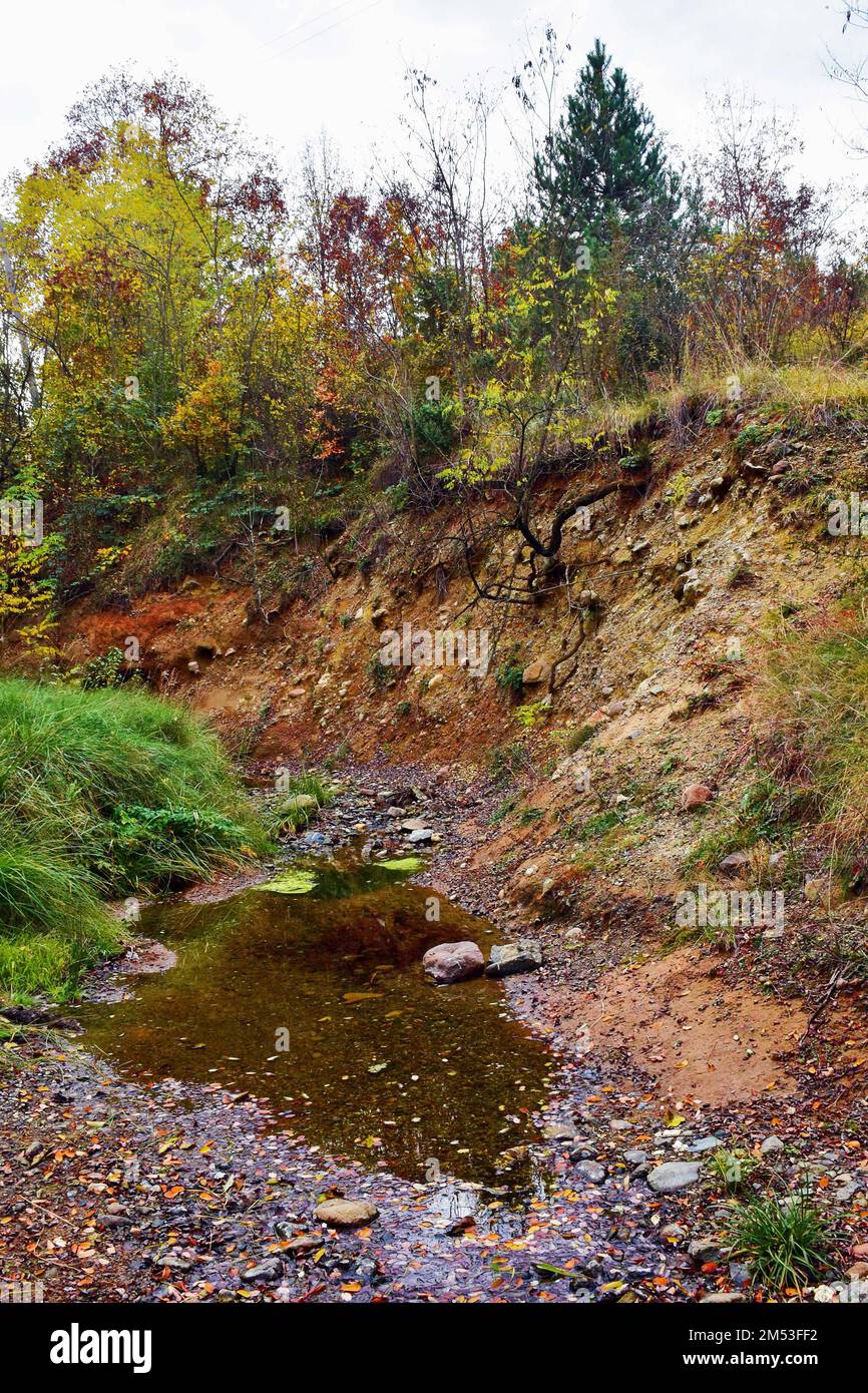 The stream and the steep bank of the stream were overgrown with trees and bushes Stock Photo