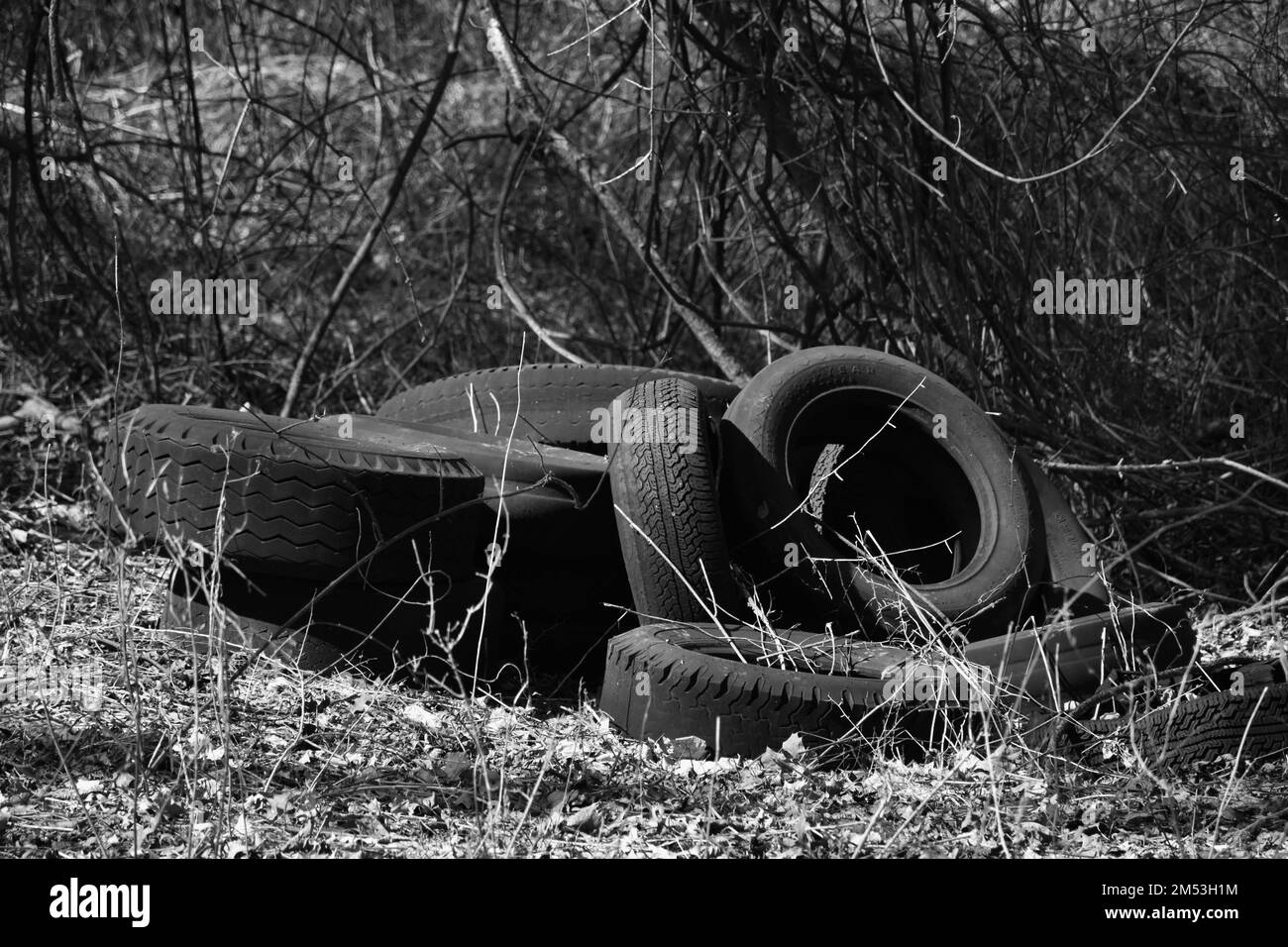 A grayscale shot of rubber tires thrown away in the wilderness Stock Photo