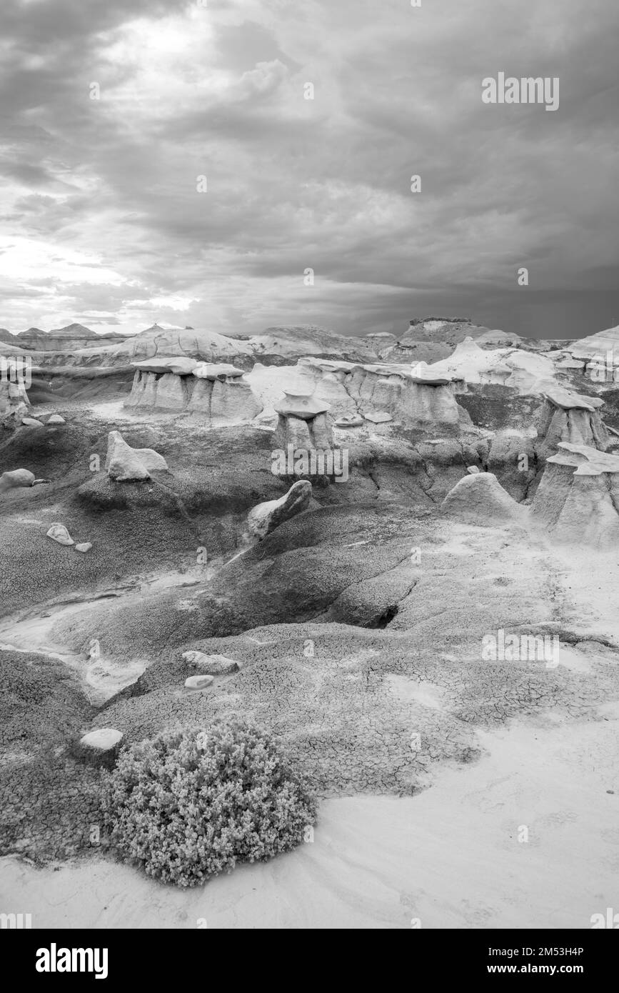 Photograph of the Bisti/De-Na-Zin Wilderness Area, a beautiful site of ...