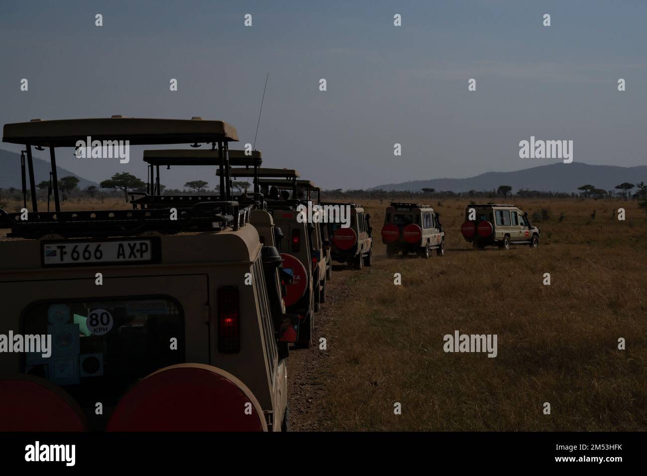 Serengeti, Tanzania - October 14th, 2022: A safari trip to the Serengeti nature reserve, Tanzania, in the dry season. Stock Photo