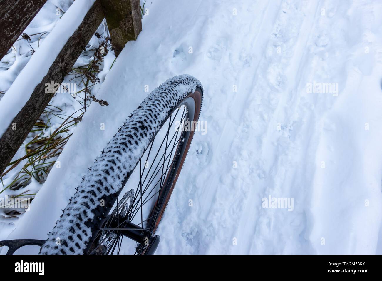 A snowcovered bicycle tire during a winter ride on snowcovered trails