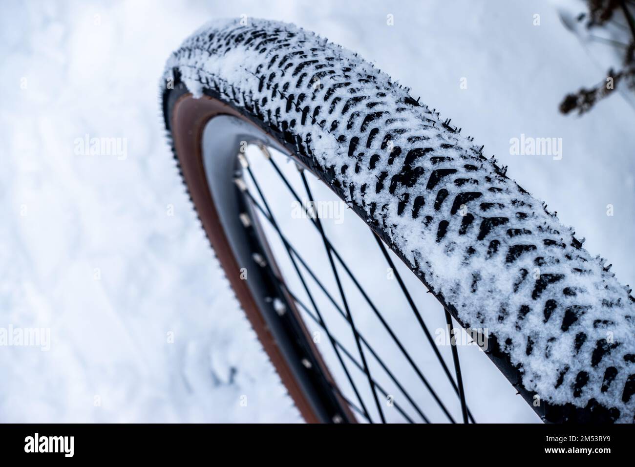 A snowcovered bicycle tire during a winter ride on snowcovered trails Stock Photo Alamy