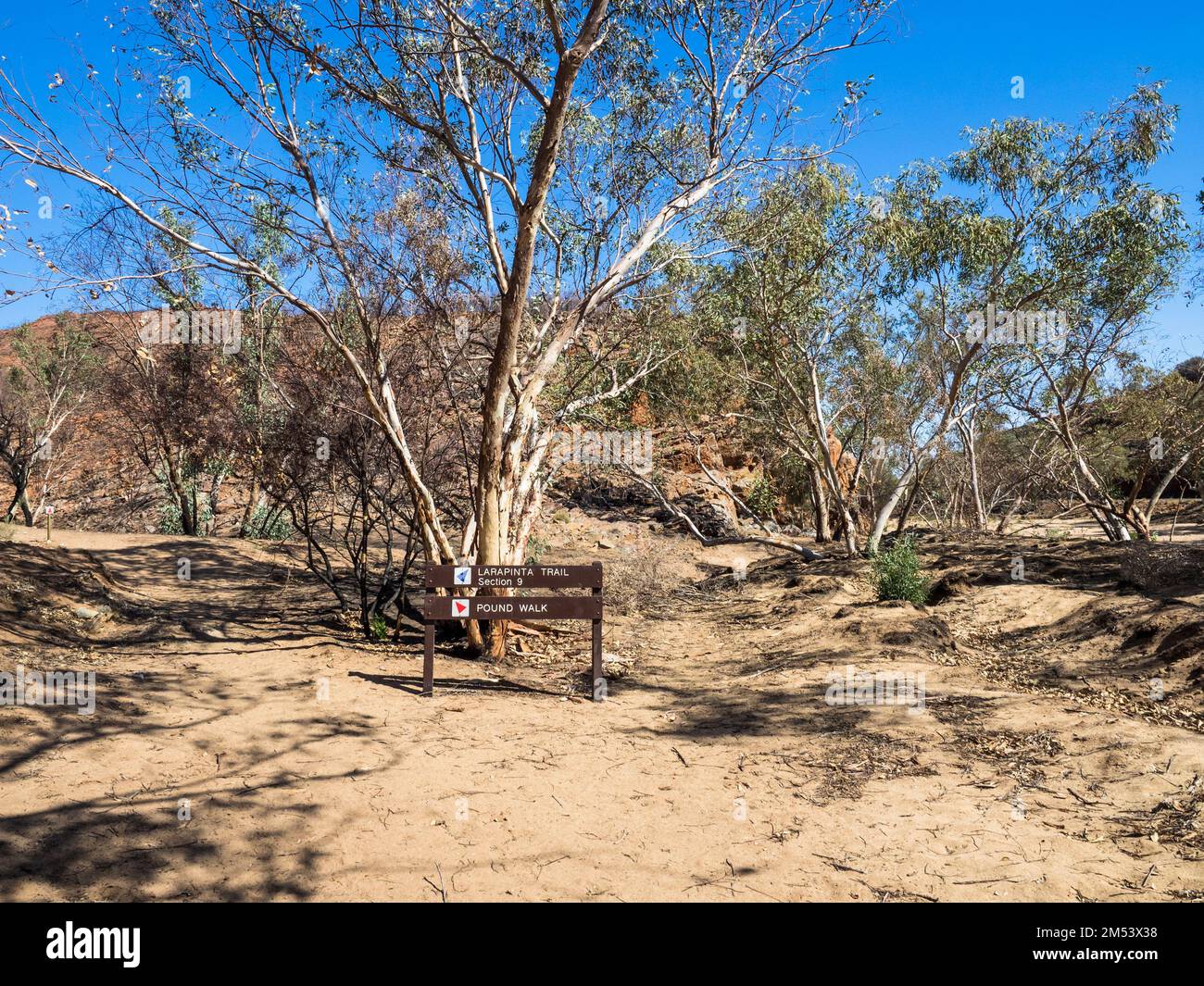 Track junction Larapinta Trail Section 9 and the Pound Walk, Ormiston