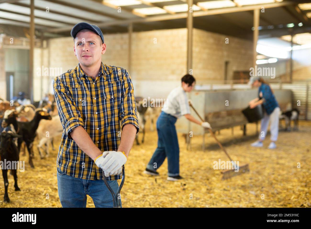 Portrait of focused busy Latin female employee working with hay and