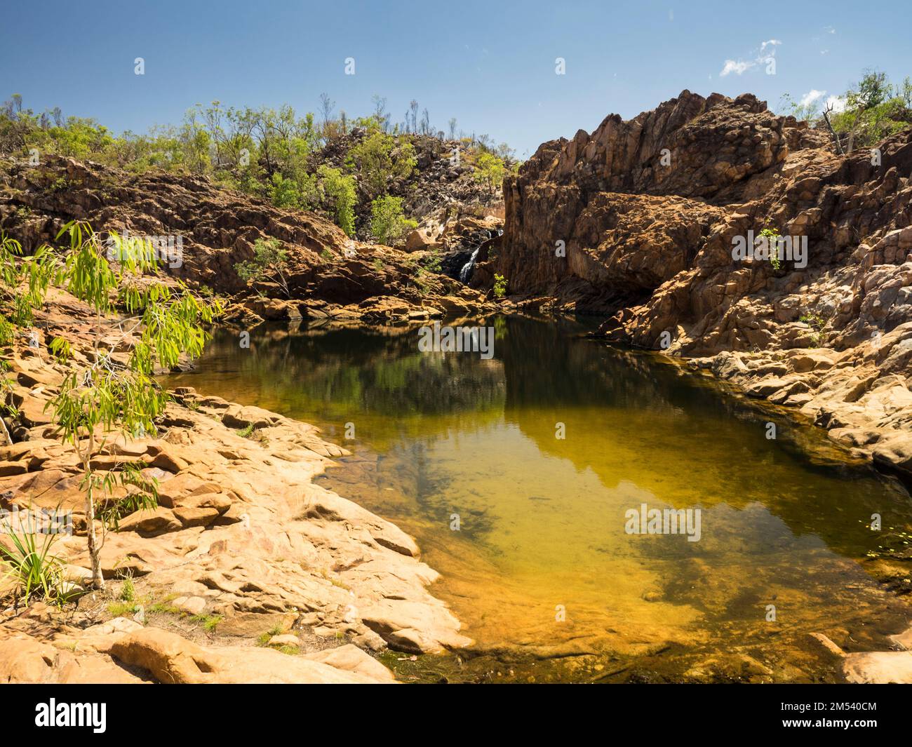 Upper Pool, Edith Falls (Leliyn), Nitmiluk National Park, Northern Territory, Australia Stock Photo