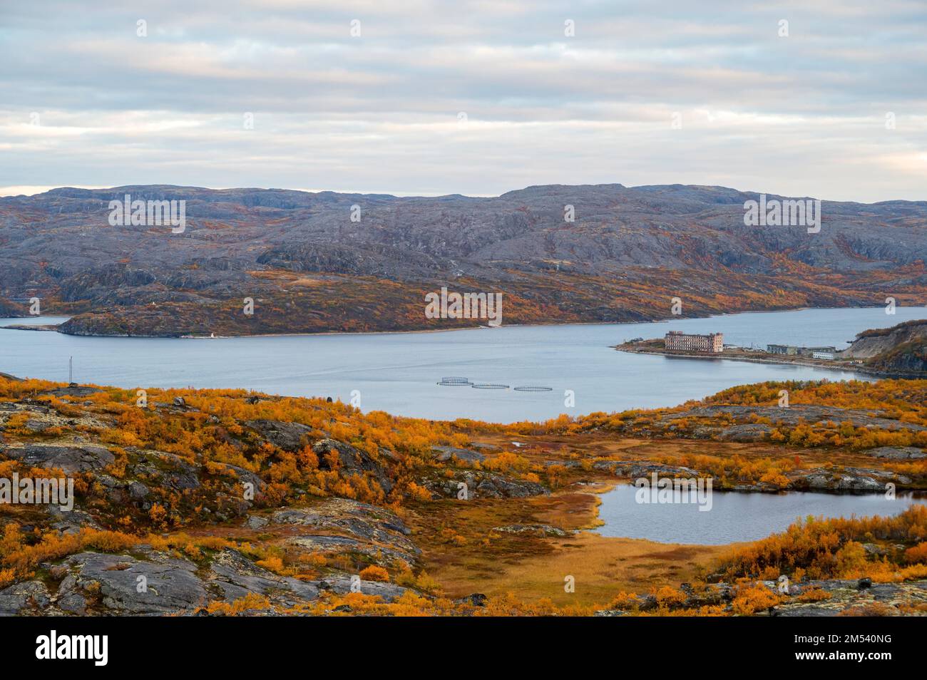 Colorful autumn tundra in front of lake in Liinahamari. Stock Photo