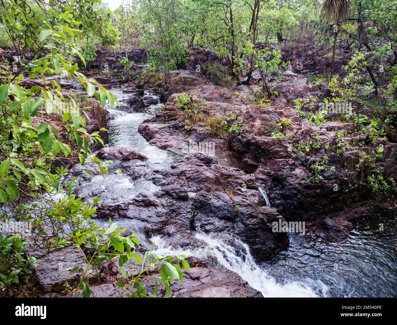 Cascades, Florence Creek, Litchfield National Park, Northern Territory, Australia Stock Photo