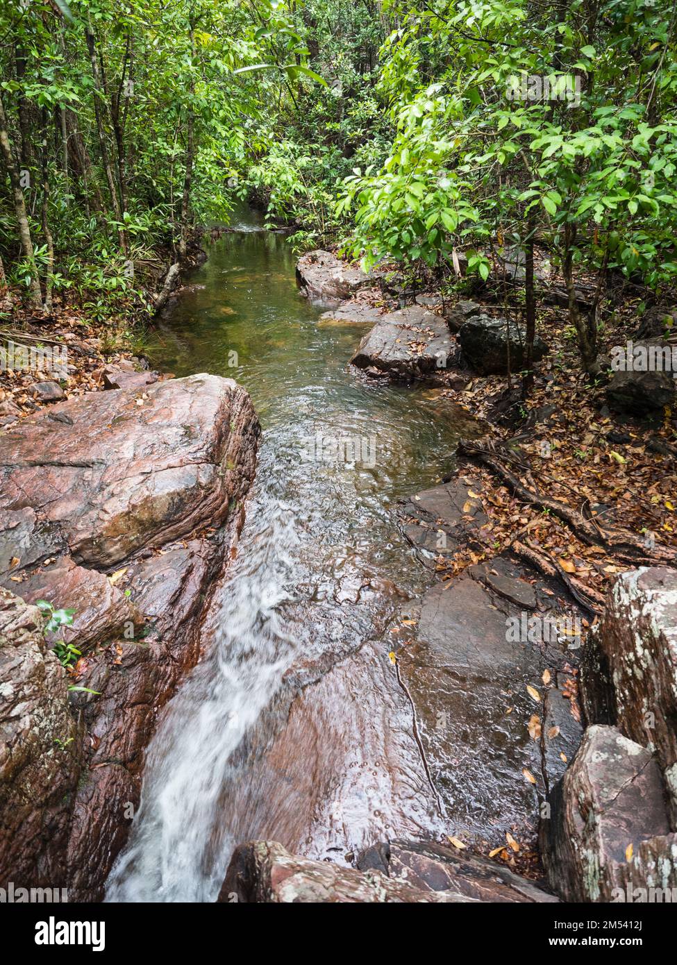Shady Creek, Florence Falls, Litchfield National Park, Northern Territory, Australia Stock Photo