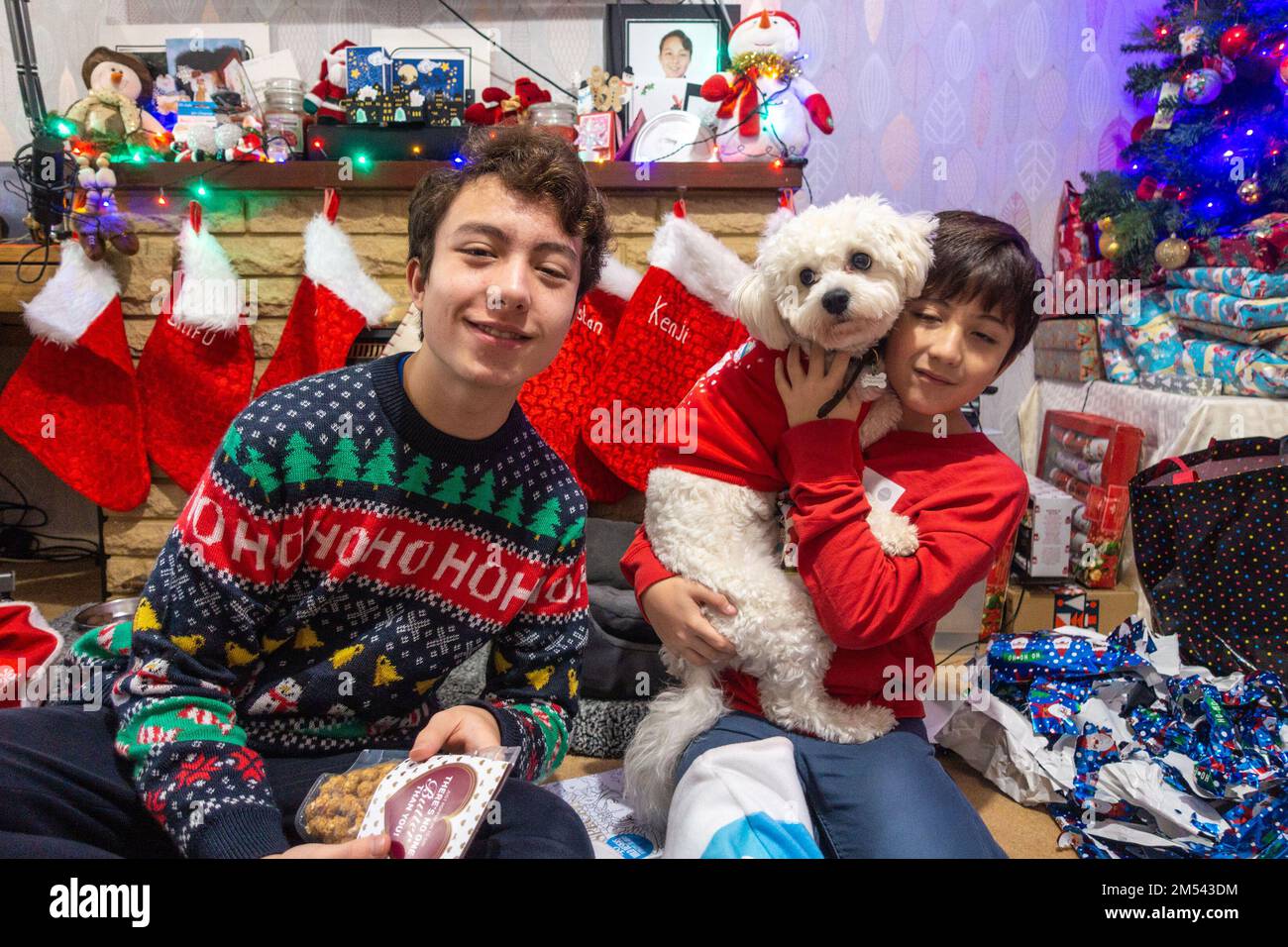 Brothers pose for a portrait with their small, white cavapoo dog on Christmas Day Stock Photo