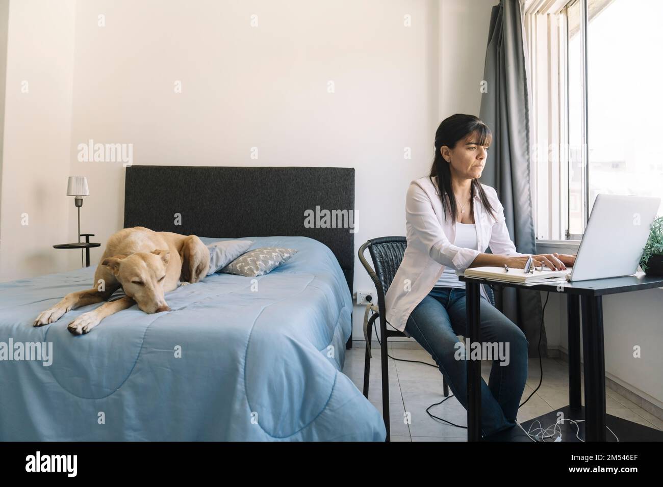 Busy and focused Latina woman working from home. Home office concept