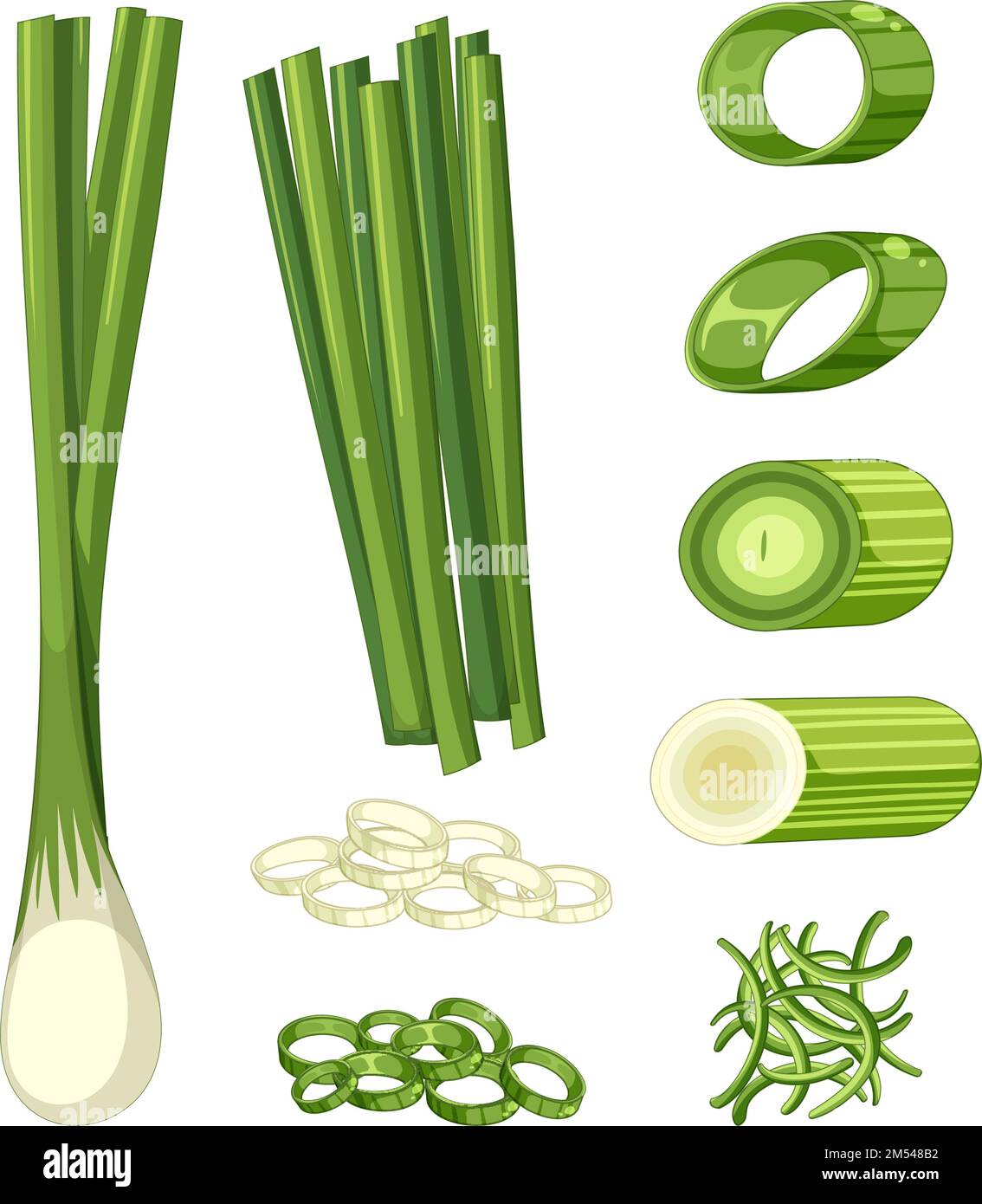 Spring onion in different forms illustration Stock Vector Image & Art