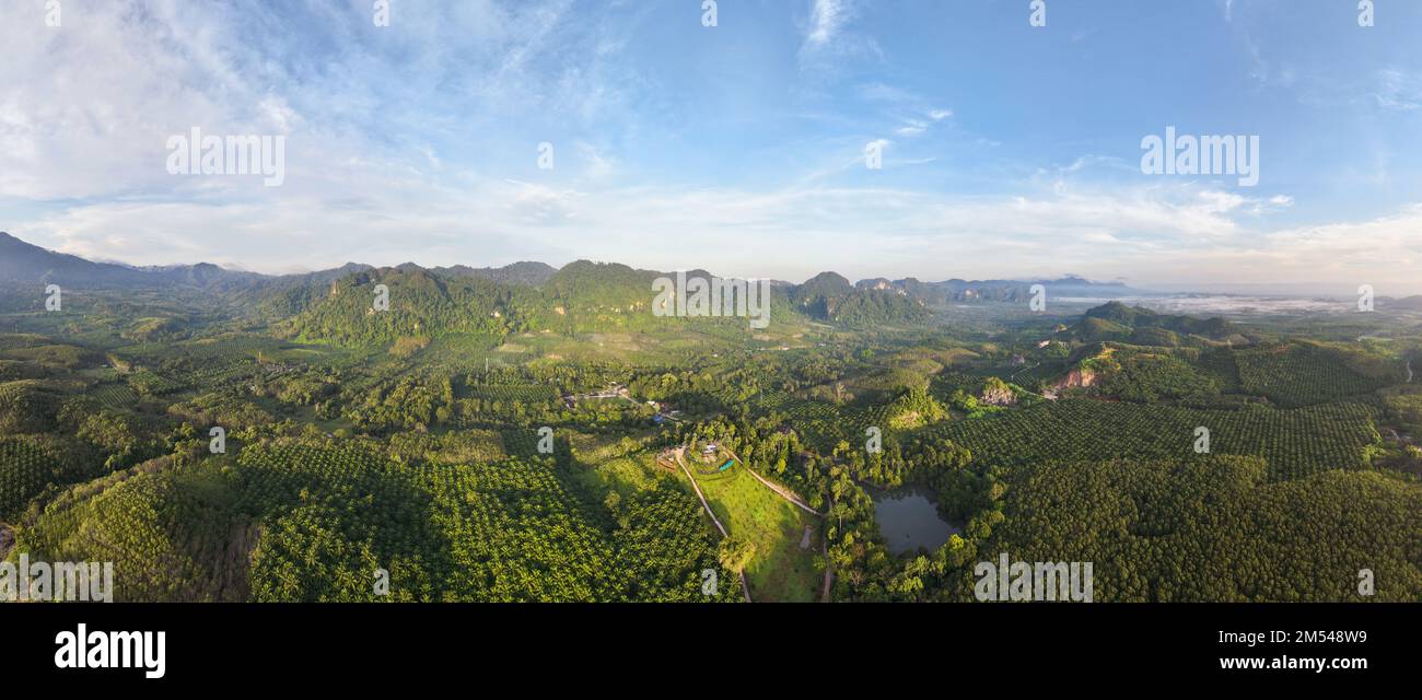 Aerial drone shot through jungle hi-res stock photography and images ...
