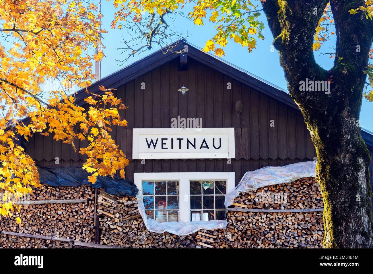 Former station shed with woodpile and maple leaves, Weitnau, Allgaeu, Bavaria, Germany Stock
