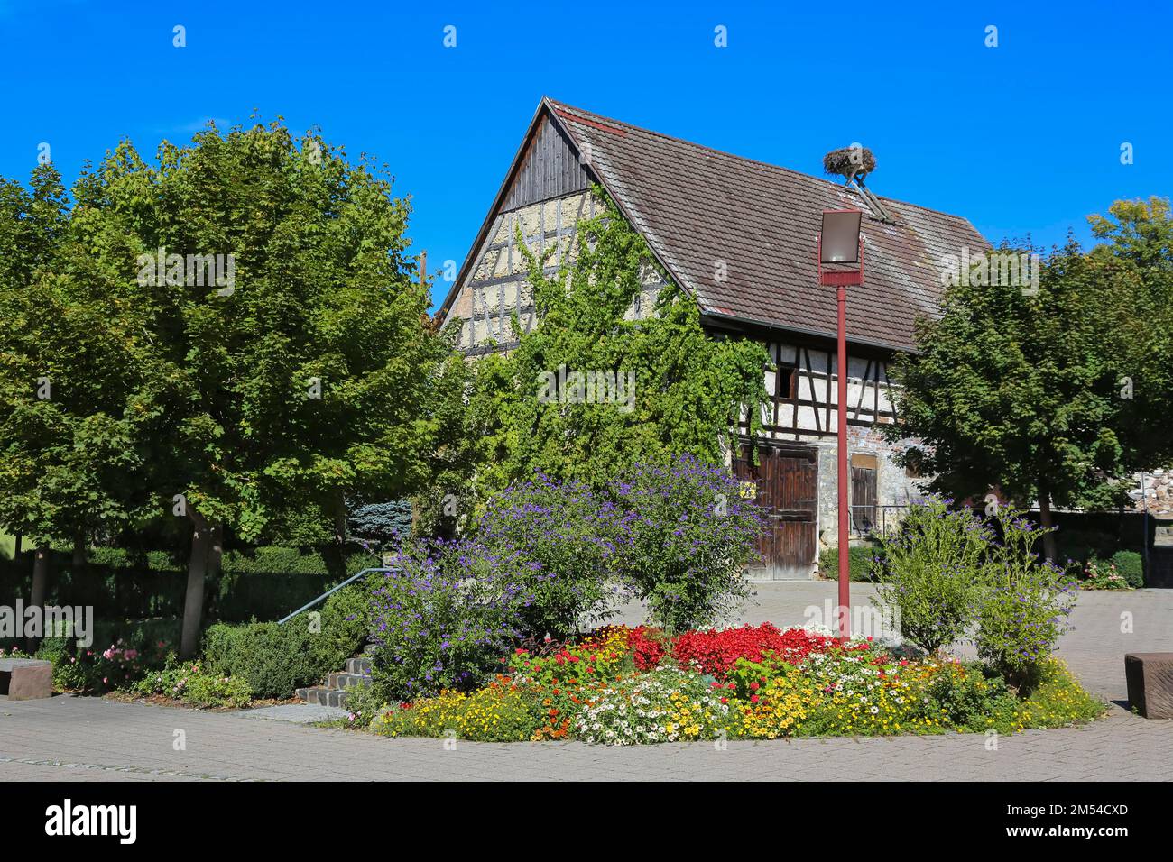 Square on the main road with flower bed, blossoms, marigold (Calendula officinalis), blue potato bush (Solanum rantonnetii), blue potato shrub Stock Photo