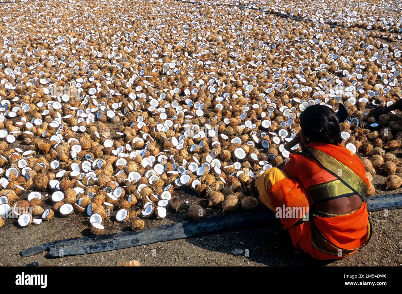Vellakkovil Download Free HD Maps, Regions and Roads (Images & PDFs)