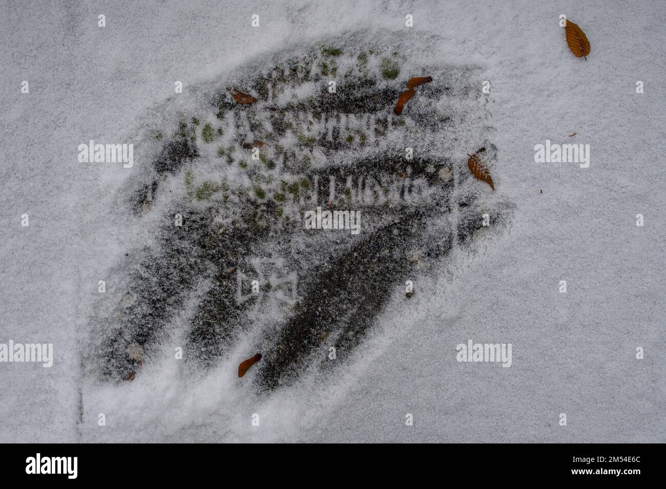 PRODUCTION - 14 December 2022, Saxony-Anhalt, Schönebeck: An iron cross can be seen under snow on a weathered memorial plaque for World War 1 fallen. Photo: Klaus-Dietmar Gabbert/dpa Stock Photo