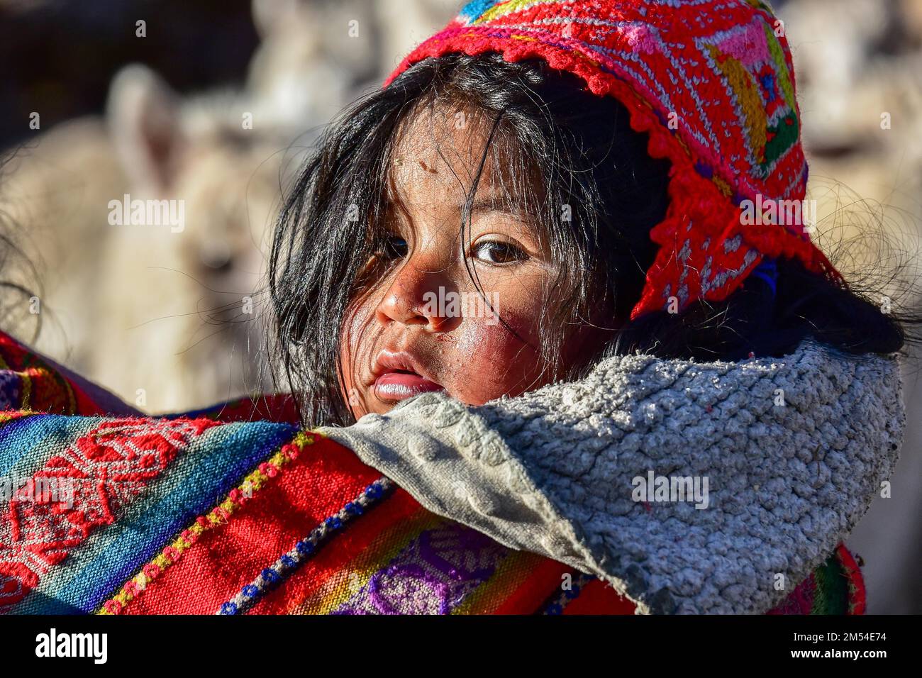 Small child in sling in traditional dress of the Quechua Indians ...
