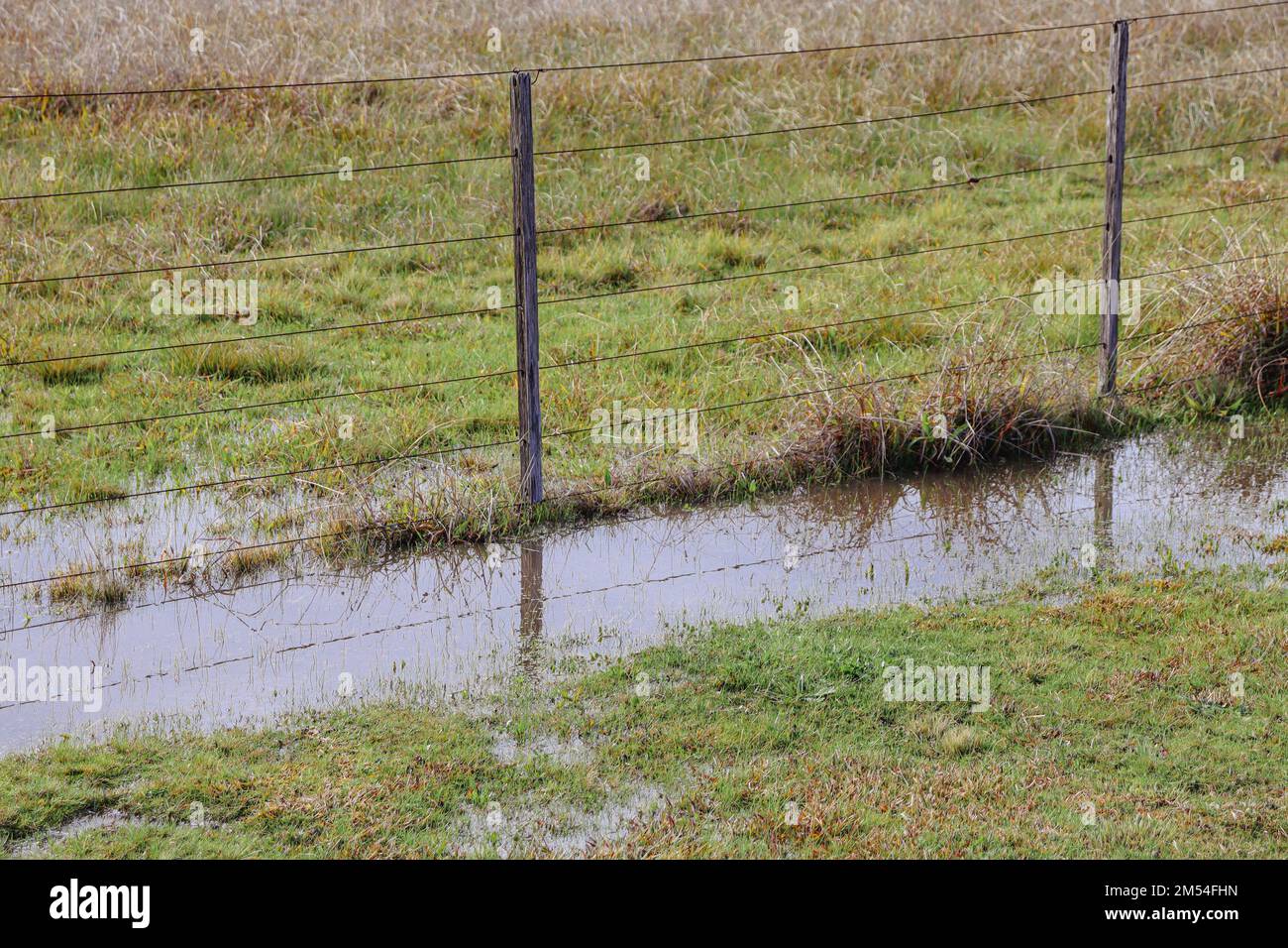 Rural water body hi-res stock photography and images - Alamy