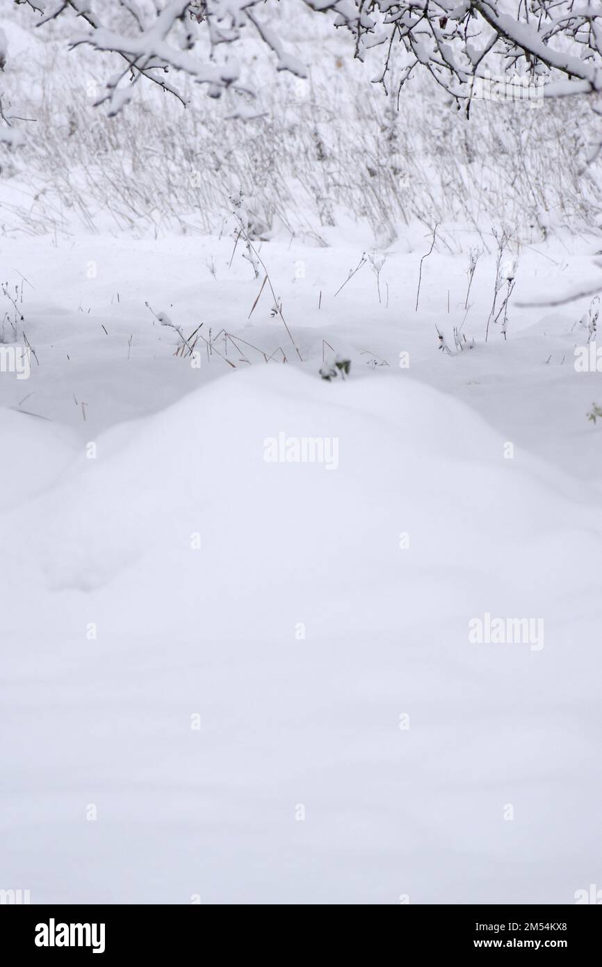 Snow covered the ground in winter. Winter weather Stock Photo Alamy