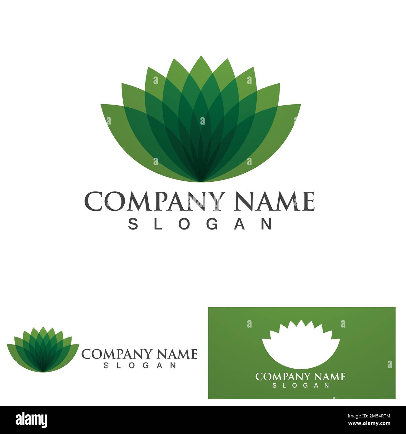 Beauty Vector lotus flowers design logo Template icon Stock Vector ...