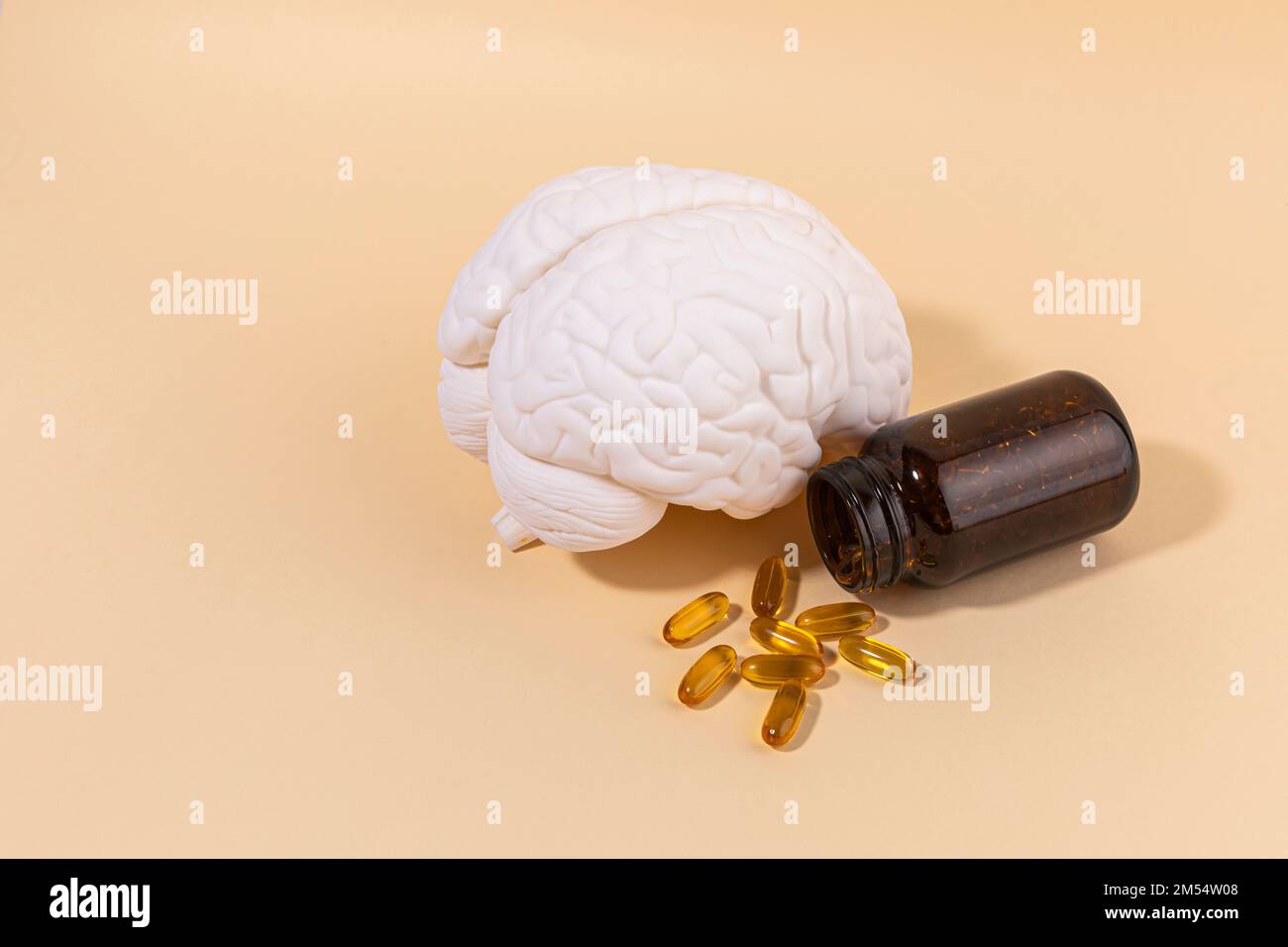 brain health and dementia series brain miniature and omega 3 Stock