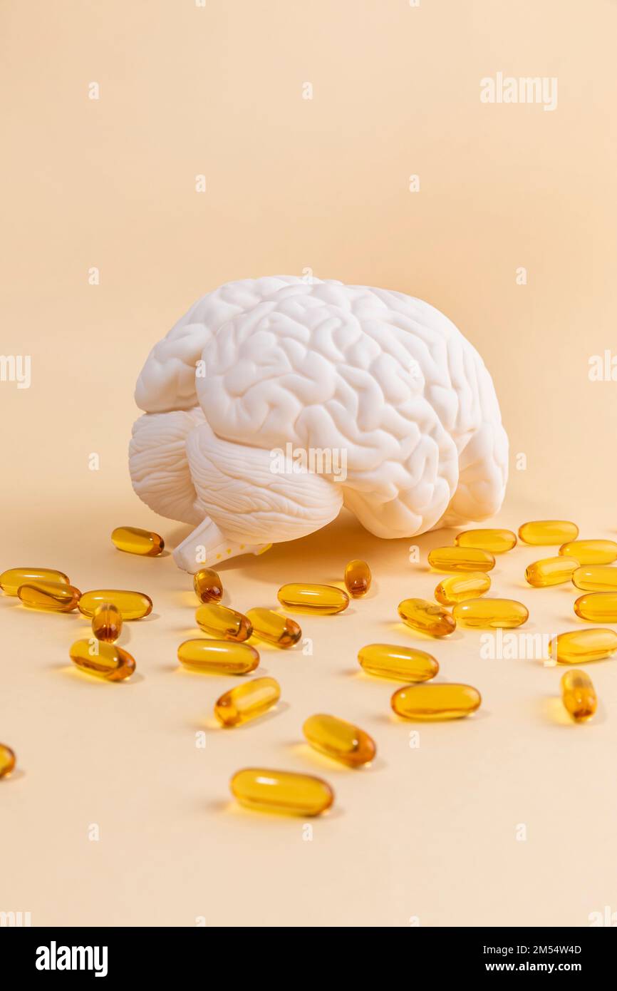 brain health and dementia series brain miniature and omega 3 Stock