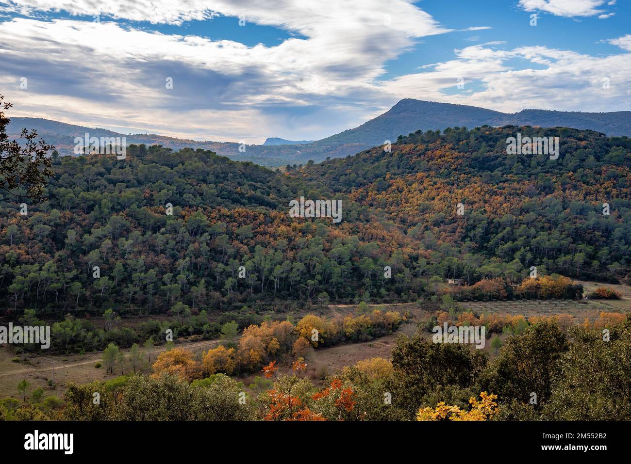 View of the mountains and hills in the Var department in France, in late fall. The leaves of the trees are turning yellow and red Stock Photo