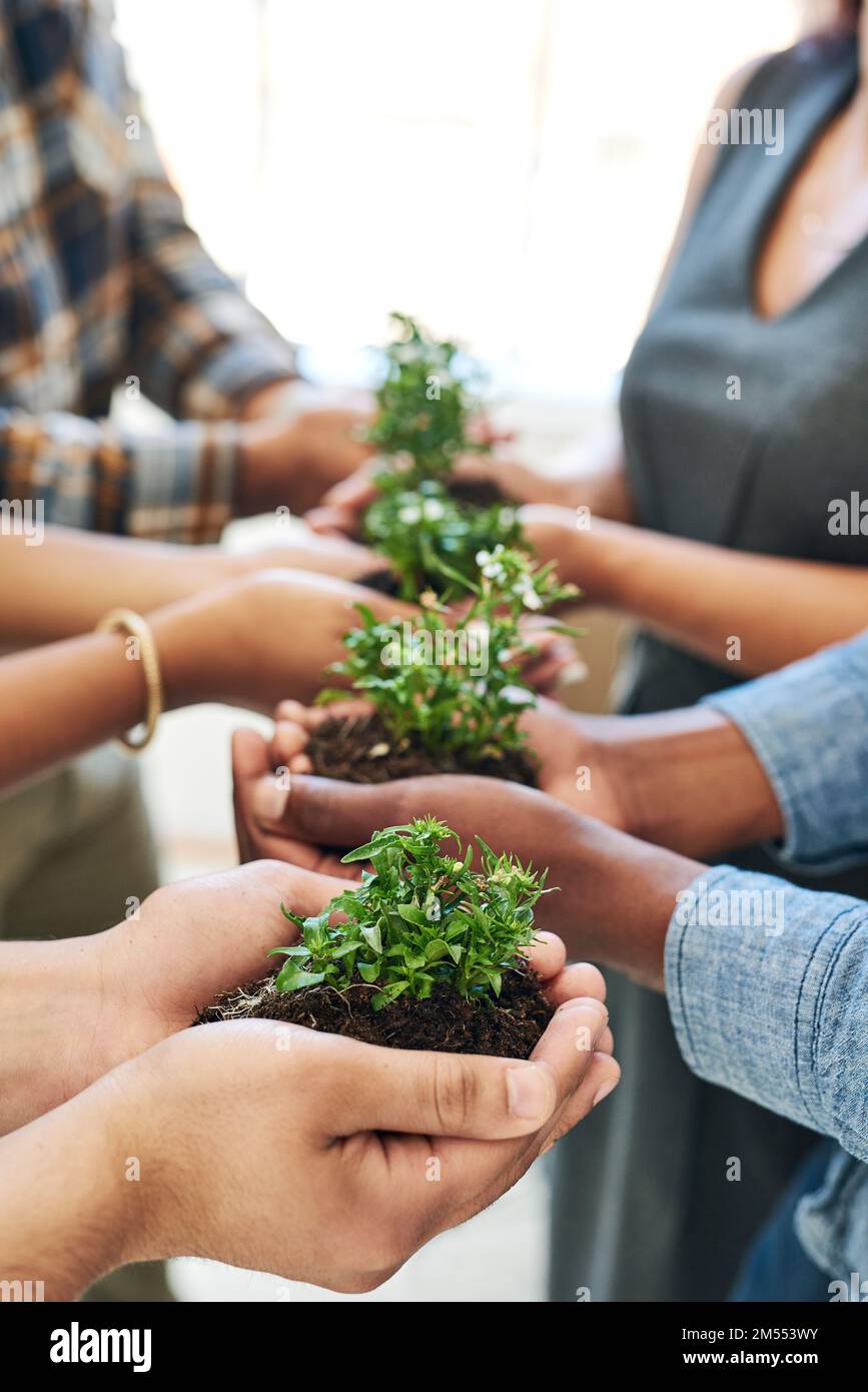 Success is helping each other grow. a team of colleagues holding a